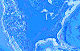 CoolMaps USA 250 Maps JPEG Graphics Collection - Photoshop JPEG